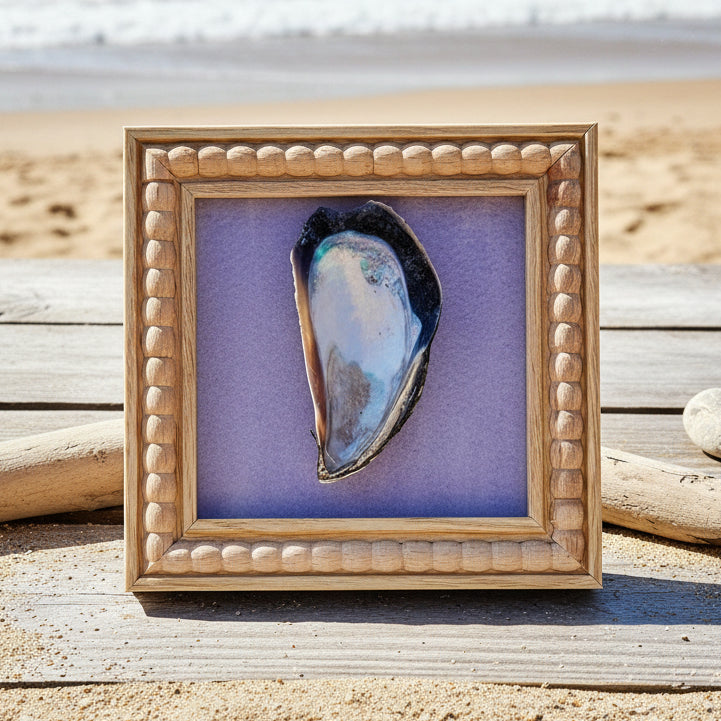 Framed shell on a wooden surface