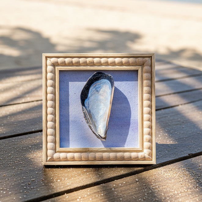 Framed artwork of a shell on a wooden surface