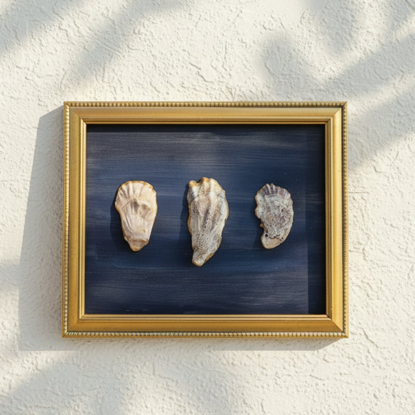 A framed piece of wall art featuring three vertically aligned natural shell or stone specimens on a dark blue background, surrounded by a gold-toned frame, photographed indoors on a light wood surface.